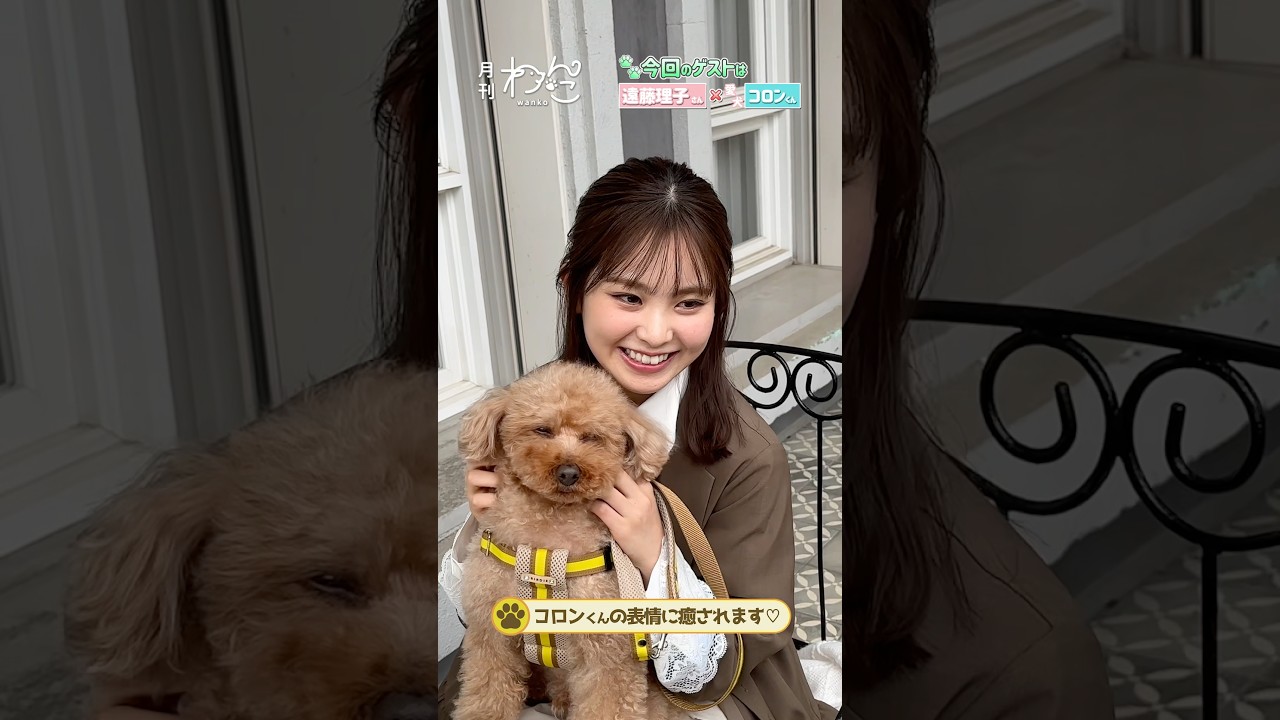 櫻坂46・遠藤理子さんと愛犬コロンくんが遊びにきてくれました!(トイプードル|月刊わんこ撮影オフショット)