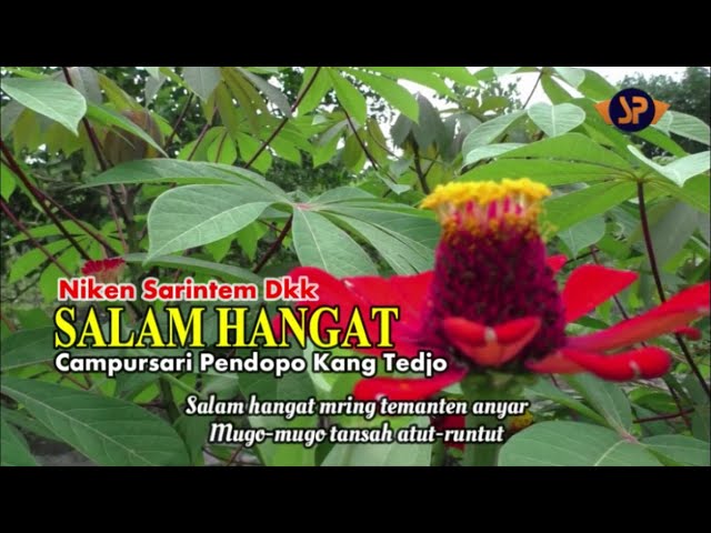 SALAM HANGAT CAMPURSARI (LIRIK) NIKEN SARINTEM - DKK (LIVE) SHOW CAMPURSARI PENDOPO KANG TEDJO class=