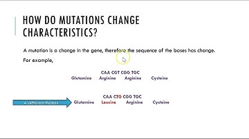 Mutations