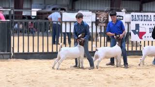 Dax at Bandera goat show