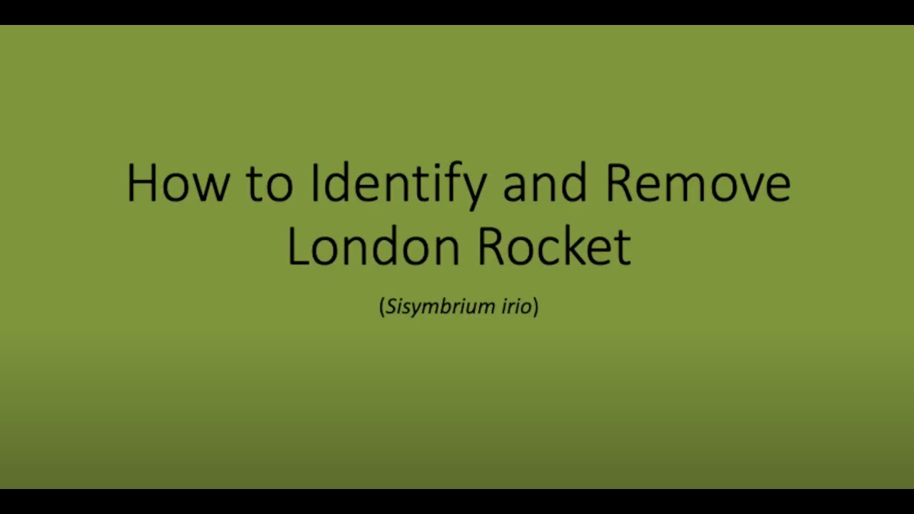 London Rocket Identification & Removal - YouTube