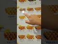 Famous Egg Waffle Hong Kong 🇭🇰