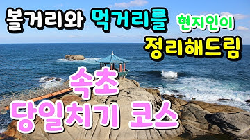 속초 당일치기 코스 : 현지인이 알려주는 속초 여행 꿀팁. 장사항/물회맛집/속초카페/소초등대전망대/속초중앙시장 #속초여행 #속초당일치기