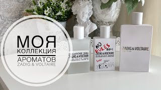 МОЯ КОЛЛЕКЦИЯ АРОМАТОВ ZADIG & VOLTAIRE 🤍🤍🤍