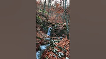 عينا فيها تسمي سلسبيلا 🌧️💙 #quran #تلاوة_هادئة