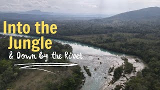 'The jungle is thickening' // Jungle Camping // This is Mexico // Overland Travel by 2 Cats & a Camper 131 views 4 months ago 20 minutes