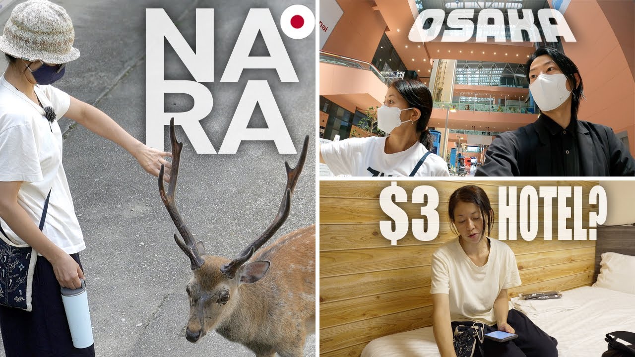 일본 나라현 파산 여행인가? 3박4일 숙박비 총액 17,000원?｜식비는 거의 다 공짜