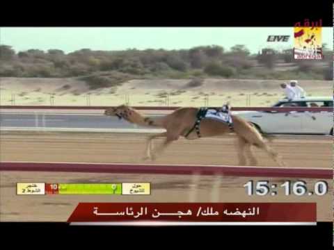 ملخص ختامي الوثبه ٢٠١٢ سيف رئيس الدولة حيل وزمول شيوخ مساء ١٩ ٣ ٢٠١٢