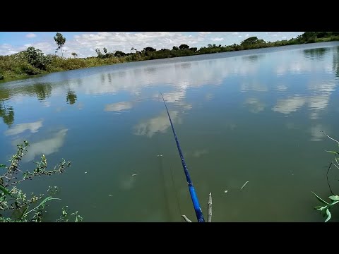 Vídeo: Como Pescar Em Uma Lagoa