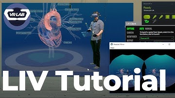 Setting up LIV -  Tutorial