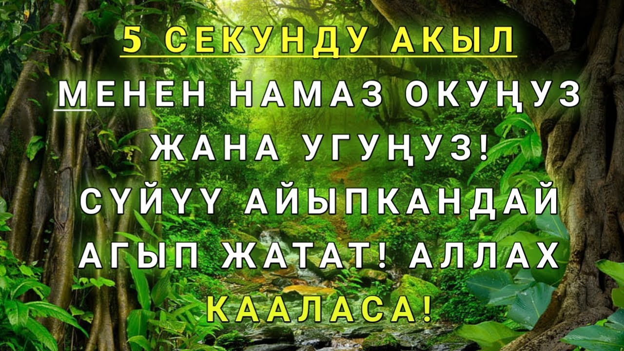 Фақат 1 марта эшитинг, пул сизни ўзидан қидиради! Дунёдаги энг кучли ризқ дуоси!