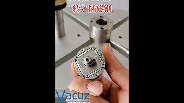 High Precision Automatic Rotor BLDC Brushless Motor Stator Coil Magnetic Steel Inserting Machine