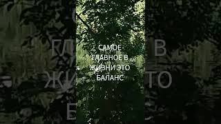 #Самое главное в Жизни это Баланс# Taro Natascha #Shorts#