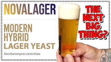 NOVALAGER Gist - De volgende GROTE stap in het brouwen??? Lallemand - Zamba Hop - Bintani - Lager...