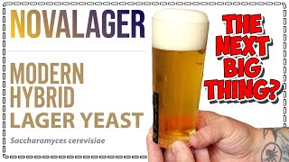 NOVALAGER Yeast - The next BIG thing in brewing??? Lallemand - Zamba Hops - Bintani - Lager Yeast