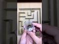 Bombardier Beetle Crosses the Mini Maze – An Exciting Insect Challenge