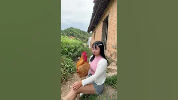 A Big Cock That Can Understand Human Language And Likes To Be Hugged 