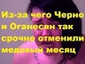 Из-за чего Черно и Оганесян так срочно отменили медовый месяц. ДОМ-2 новости