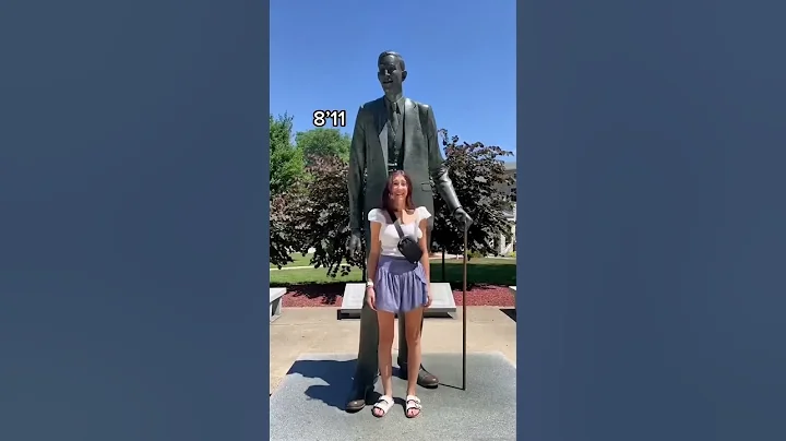 Stand next to the tallest man in the world #tall #shorts - DayDayNews