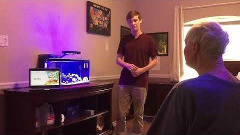 The Positive Ripple Effects of Fish Tanks Throughout Society - Matthew Firth