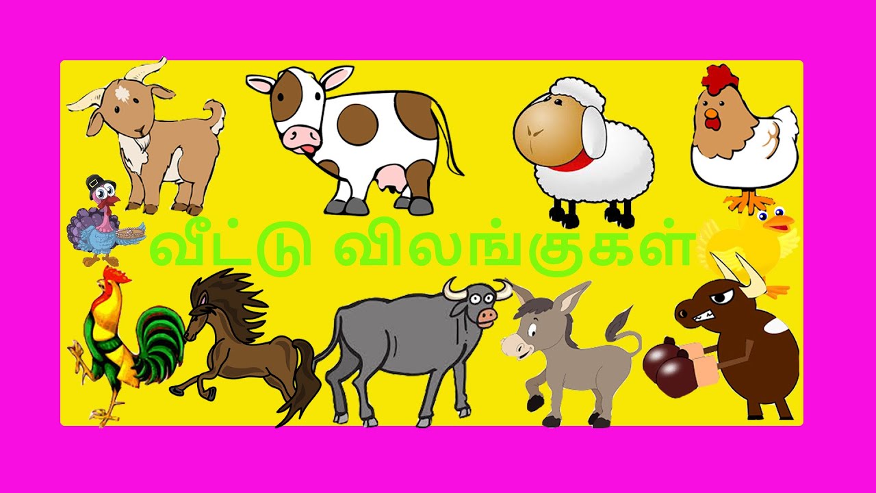 வீட்டு விலங்குகள்//Learn Farm Animals name with puzzle for kids// Tamil  educational video - YouTube