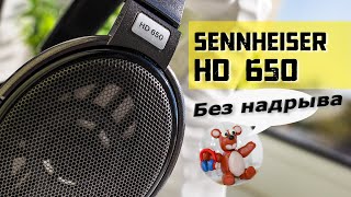 Sennheiser HD 650 обзор наушников