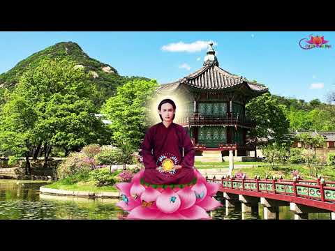 Video NHỮNG - MẪU - CHUYỆN - NHIỆM -MẦU - BÊN THẦY - PHẬT -... - youtube