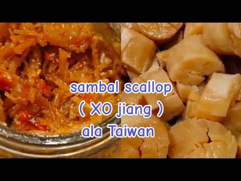 Scallop Xo