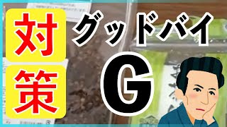 【ゴキブリ対策】たった二つの材料で【スパイスを使おう！】