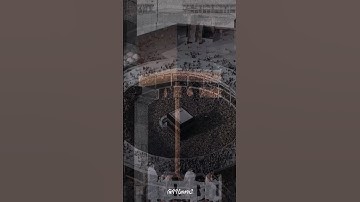 قال رب إني ظلمت نفسي فاغفر لي فغفر له إنه هو الغفور الرحيم | الآية 16 من سورة القصص #القرآن_الكريم