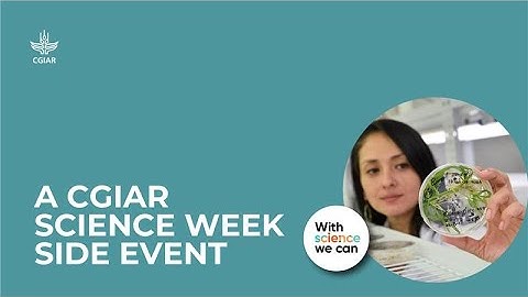 AI-Powered Innovation: Acceleration Research for Agri-Food System Transformation