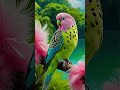 اللهم أرزقنا حسن خاتمة وتقبل منا صالح أعمال 
