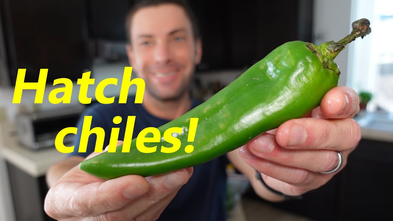 What Are Hatch Chiles and How to Use Them