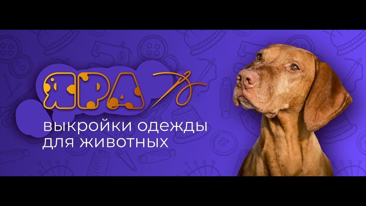 Как распечатать и собрать выкройку для пошива одежды животным. - YouTube