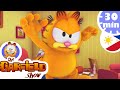 😱 Garfield fights Nermal  ! 😱 - Buong Episode HD