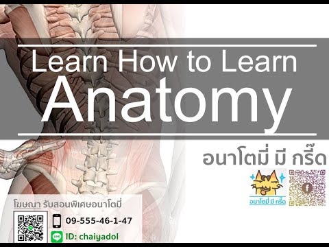 how to learn anatomy - เรียนอนาโตมี่ยังไงให้สนุก