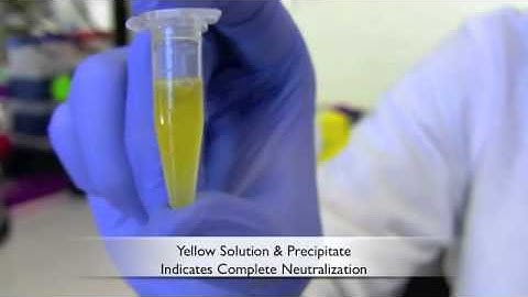 Zyppy Plasmid Miniprep Kit- Transfection Quality Plasmid DNA Directly from E. Coli Cultures!