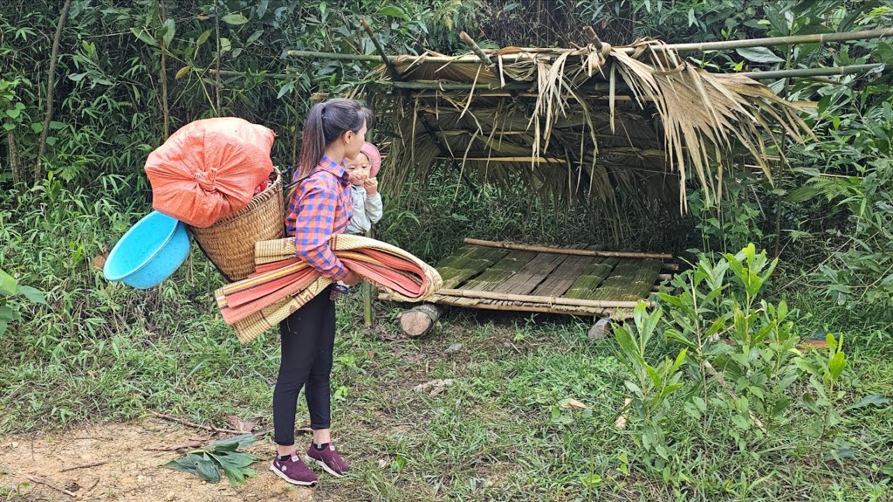 Single Mother and Son, Harvesting Giant Pineapples to Sell for Money ...