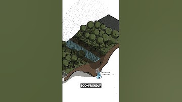 Sustainable Architecture Glossary | #3: Bioswale