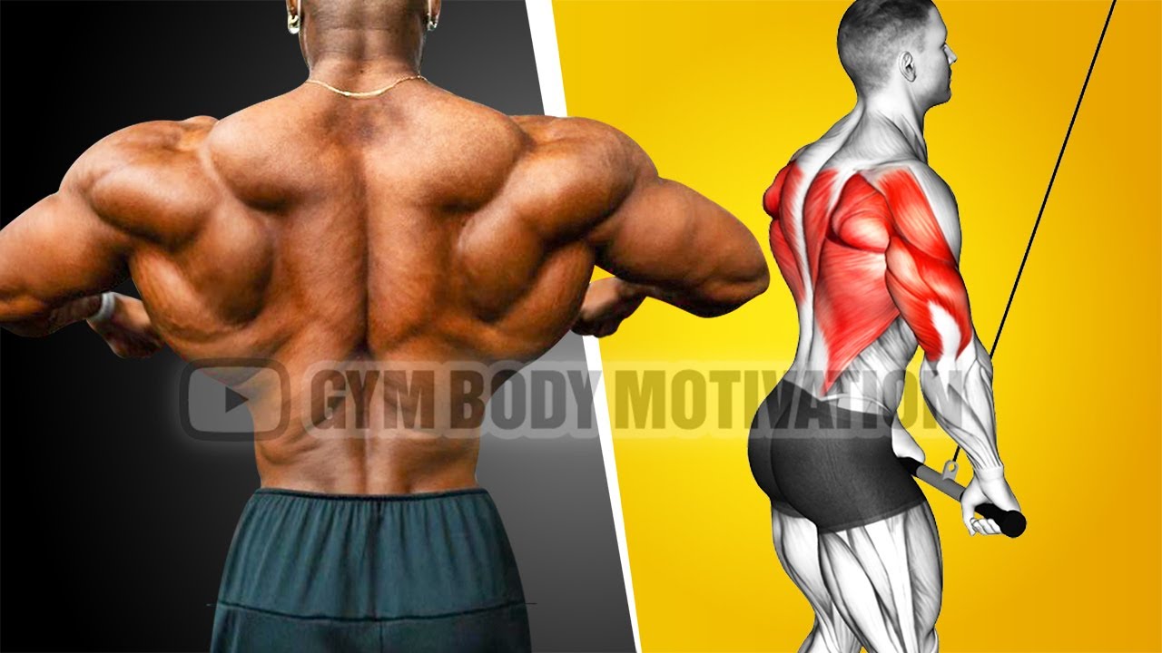 The Most Effective Science Based Back Workout