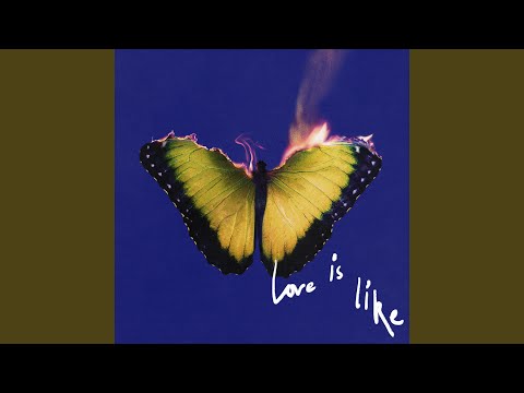 Maroon 5 & LISA - Priceless