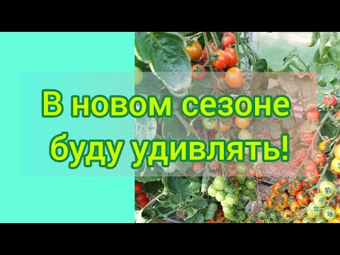 КРАСОТИЩА-ВКУСНОТИЩА! Эти овощи меня поразили!