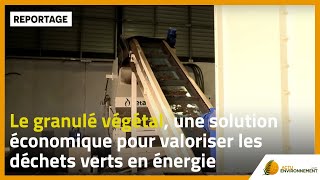 Le granulé végétal, une solution économique pour valoriser les déchets verts en énergie