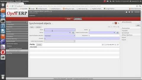 Database synchronizationDownload) in OpenERP demonstrated by Serpent Consulting Services