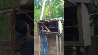 Preparing To Clean The Pigeon House