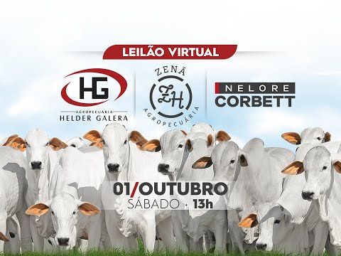 Lote 04   LGAL 2050   2009   2052   2013