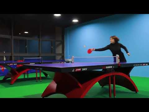 პინგ პონგის ბადე + ჩოგნები და ბურთები საჩუქრად