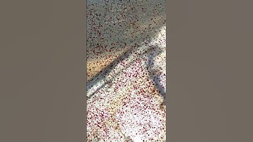 Exploding Bridge #fallout #fallout4 #gaming #modded #bethesda #fallout4goty #explosion