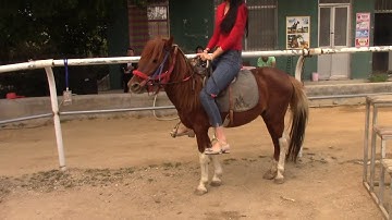 Pony ride in Sanya Racecourse