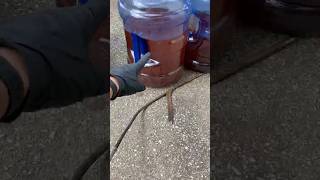 Rust removal with vinegar #diy #rust
